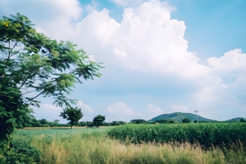 田园自然风光全景