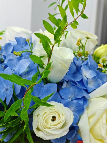 花束，白玫瑰，蓝绣球，绿叶，花艺，