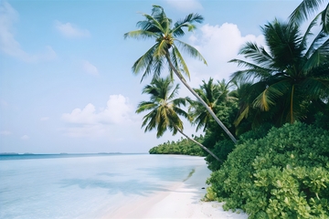 热带海岛椰林海滩