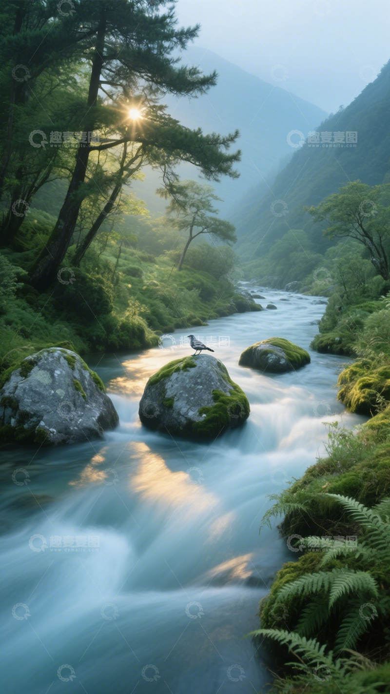 高清大图下载【趣麦麦图】-溪谷晨雾飞鸟流水治愈3