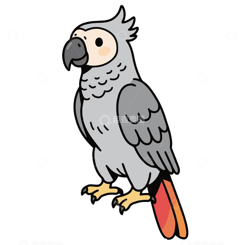 源文件下载【趣麦麦图】可爱卡通灰鹦鹉