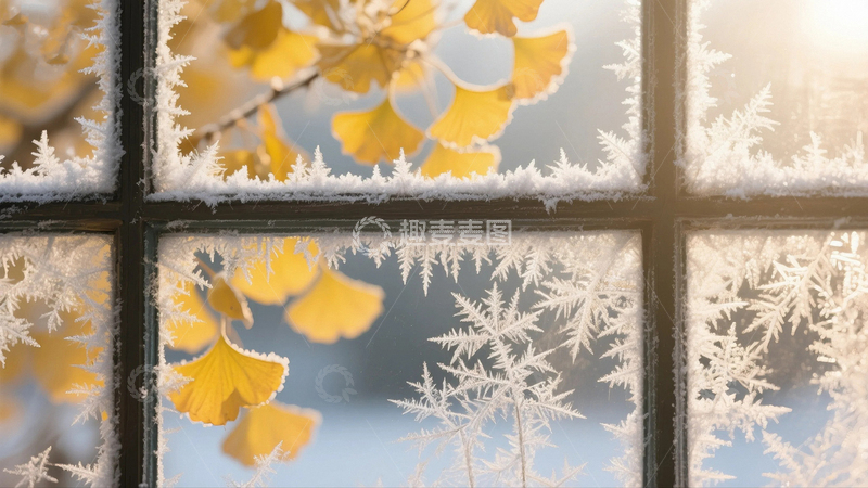 高清大图下载【趣麦麦图】霜降节气里窗子上的冰花5