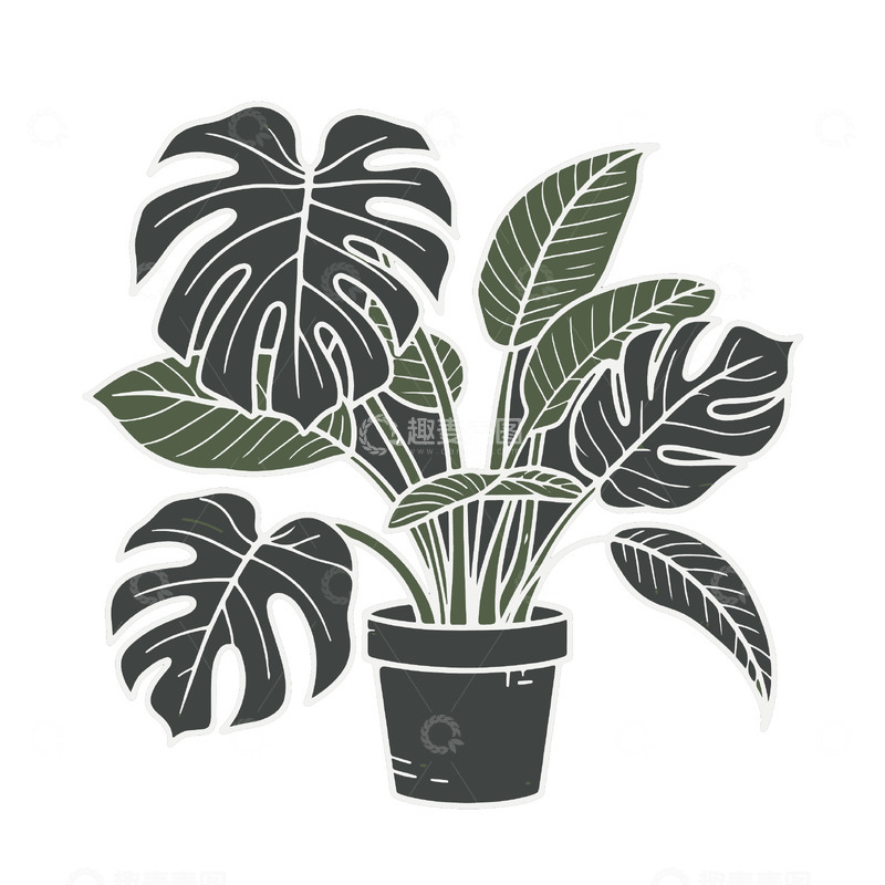 源文件下载【趣麦麦图】龟背竹盆栽插画清新可爱