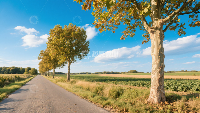 乡村田野公路场景自然蓝天白云商业照片
