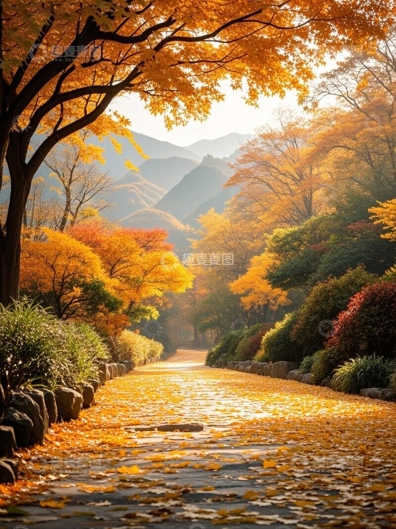 高清大图下载【趣麦麦图】秋日林间小径落叶纷飞