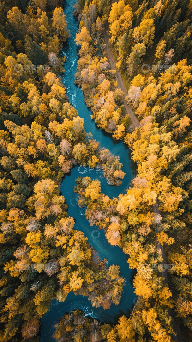 高清大图下载【趣麦麦图】秋林河流绚烂静谧壮美1