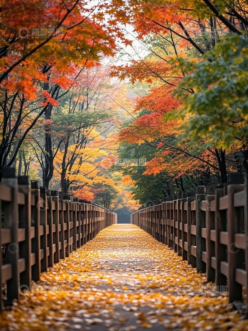 高清大图下载【趣麦麦图】秋日林间小径落叶铺满道路