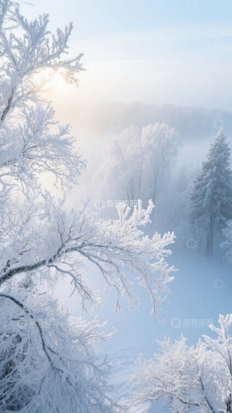 高清大图下载【趣麦麦图】雾凇森林纯净洁白2