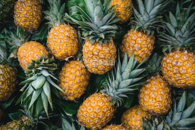 高清大图下载【趣麦麦图】一堆新鲜的菠萝