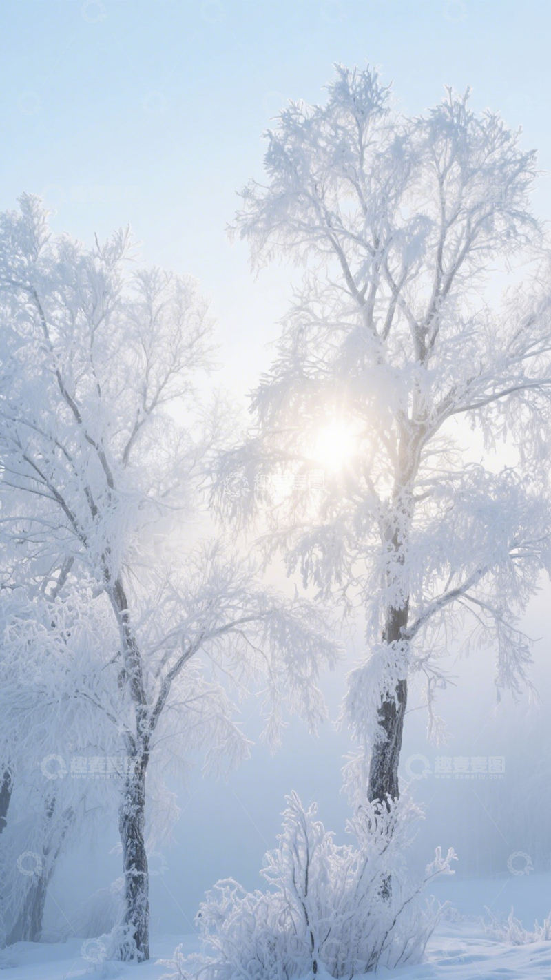高清大图下载【趣麦麦图】雾凇森林纯净洁白