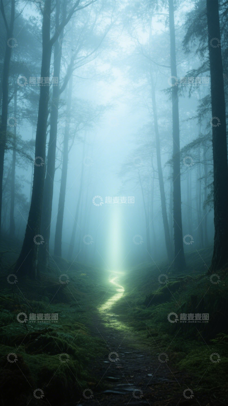 高清大图下载【趣麦麦图】雾林光路神秘梦幻1