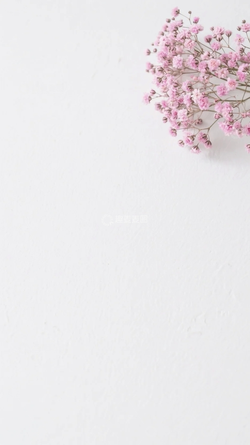 高清大图下载【趣麦麦图】小清新满天星底图3