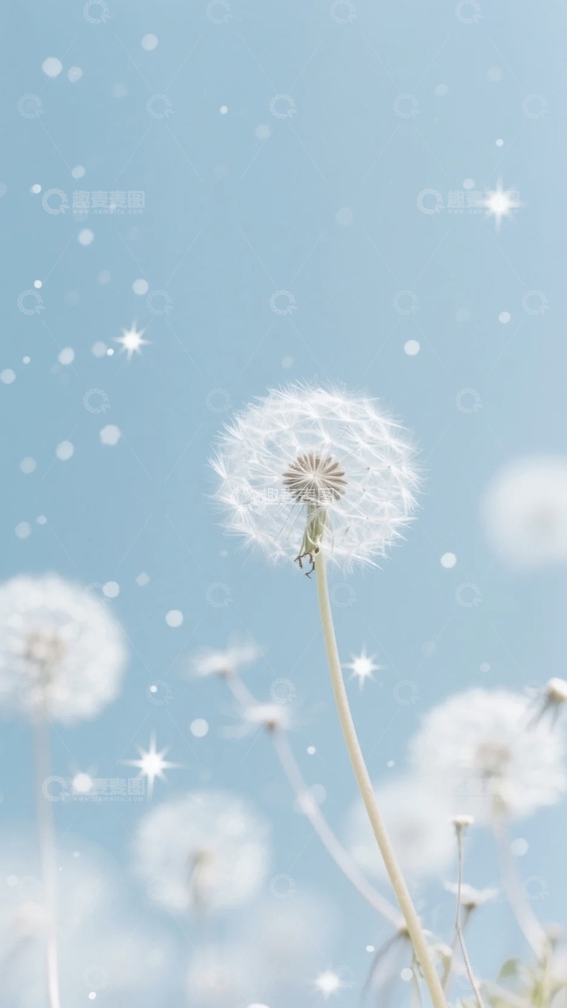 高清大图下载【趣麦麦图】梦幻蒲公英背景2