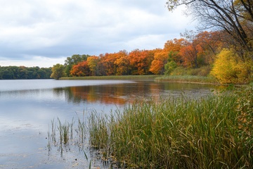 湿地湖泊草丛自然美景