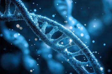 DNA遗传基因链条