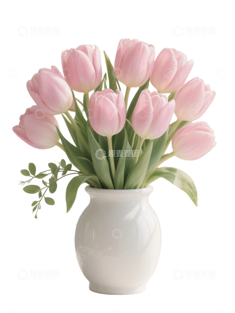 高清大图下载【趣麦麦图】郁金香花束免扣写实主题69