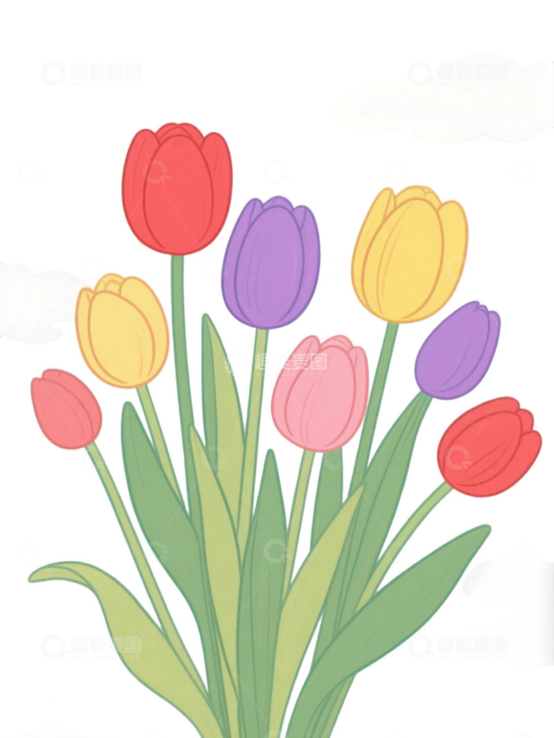 高清大图下载【趣麦麦图】郁金香花束免扣写实主题202