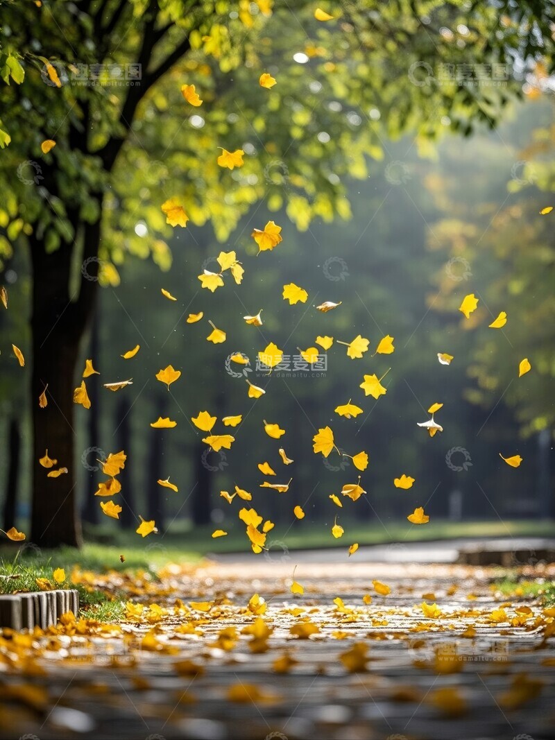 高清大图下载【趣麦麦图】秋日公园落叶纷飞的景象