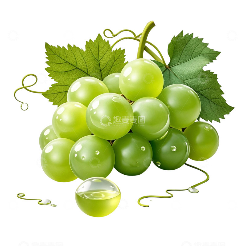 高清大图下载【趣麦麦图】水润饱满的葡萄8