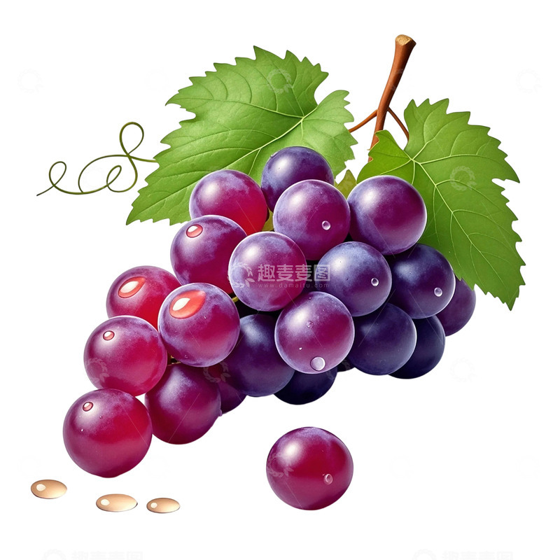 高清大图下载【趣麦麦图】水润饱满的葡萄4
