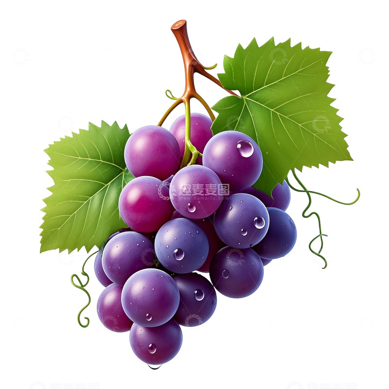 高清大图下载【趣麦麦图】水润饱满的葡萄1