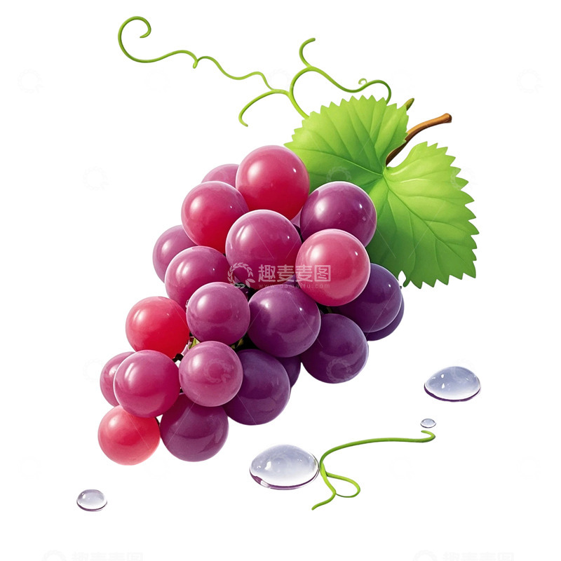 高清大图下载【趣麦麦图】水润饱满的葡萄6