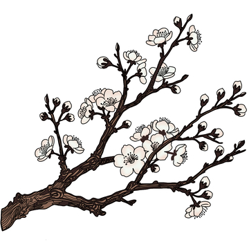 雪白的梨花开了