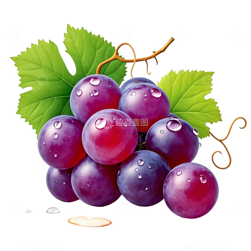 高清大图下载【趣麦麦图】水润饱满的葡萄3