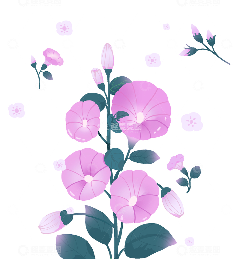 手绘色彩喇叭花