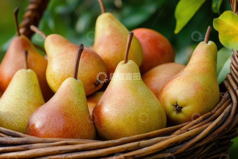 高清大图下载【趣麦麦图】一筐新鲜的巴梨