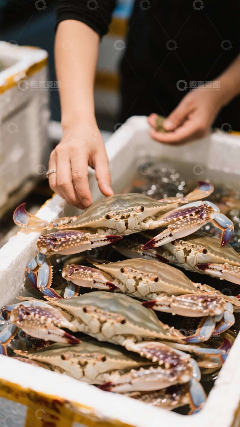 市场摊位上挑选鲜活螃蟹海鲜