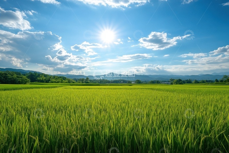 高清大图下载【趣麦麦图】草坪蓝天白云自然美景