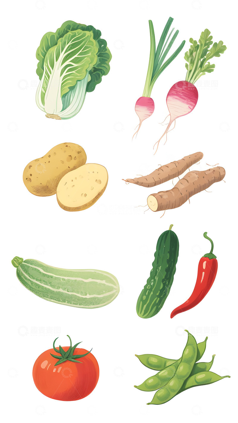 高清大图下载【趣麦麦图】手绘卡通蔬菜插画插图