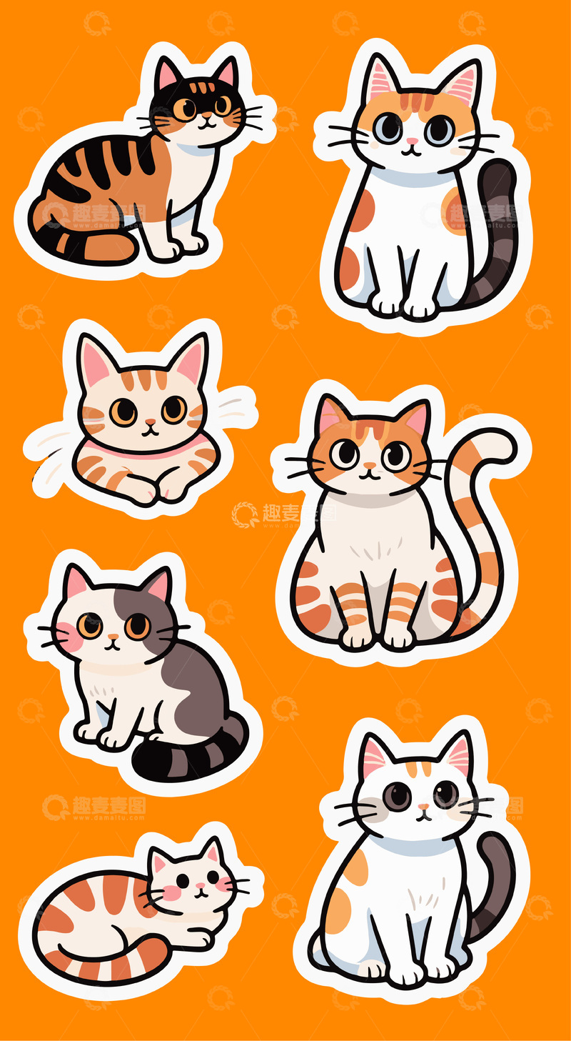 可爱的花纹橘猫