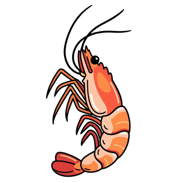 一只熟透的红虾