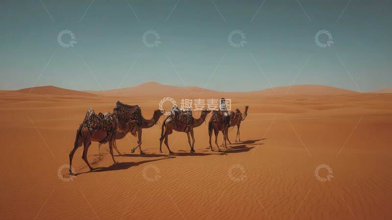 高清大图下载【趣麦麦图】沙漠  苍茫 骆驼