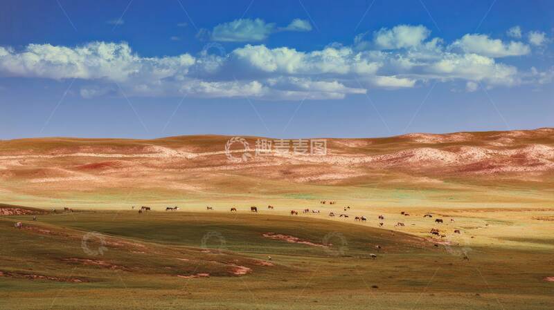 高清大图下载【趣麦麦图】草原  秋季  空旷  