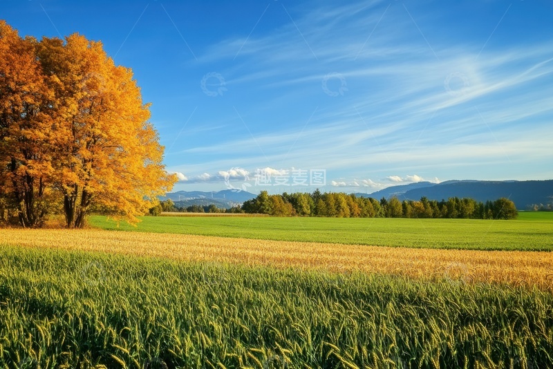高清大图下载【趣麦麦图】麦田田野自然美景