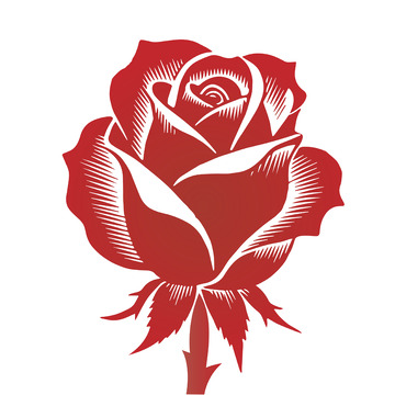 玫瑰剪影艺术优雅神秘