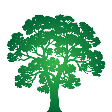 孤树剪影静谧意境