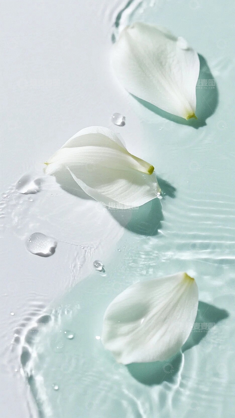 高清大图下载【趣麦麦图】美丽花瓣背景底图3