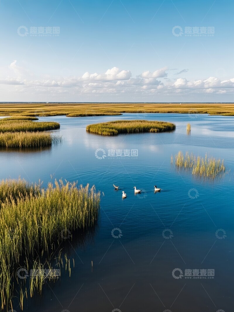 高清大图下载【趣麦麦图】宁静湿地，水鸟悠然游弋