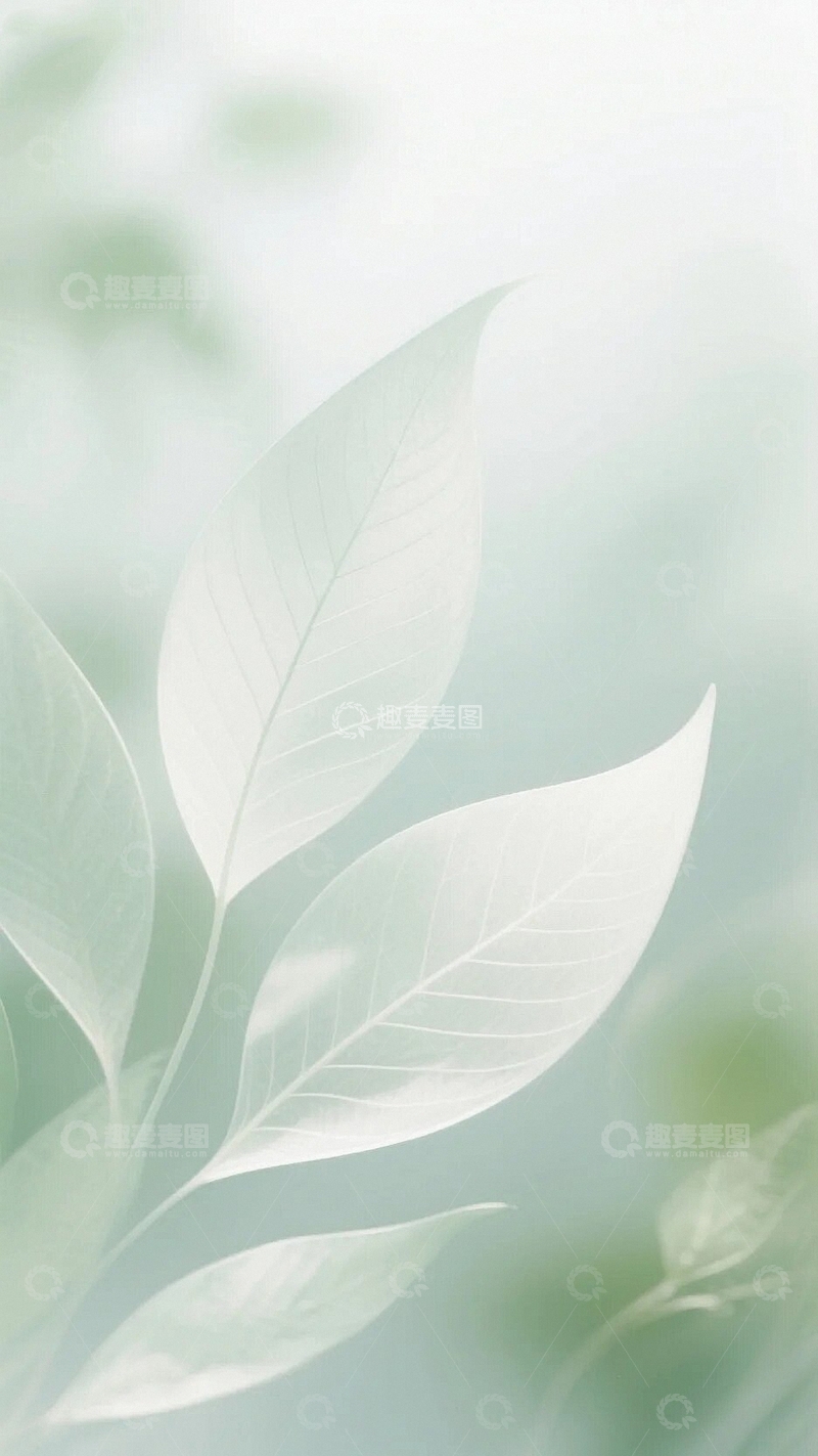 高清大图下载【趣麦麦图】清新淡雅淡绿叶子背景2