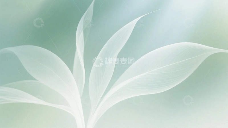 高清大图下载【趣麦麦图】清新淡雅淡绿叶子背景5