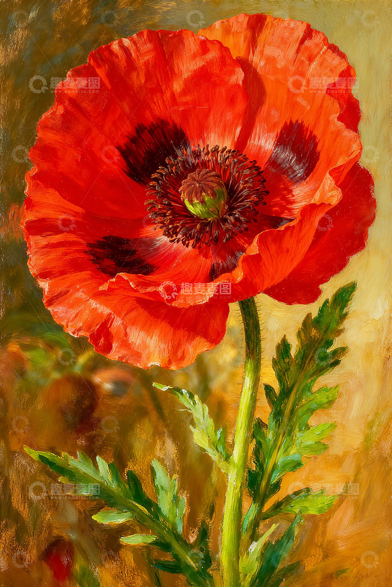 高清大图下载【趣麦麦图】虞美人油画花朵特写素材12