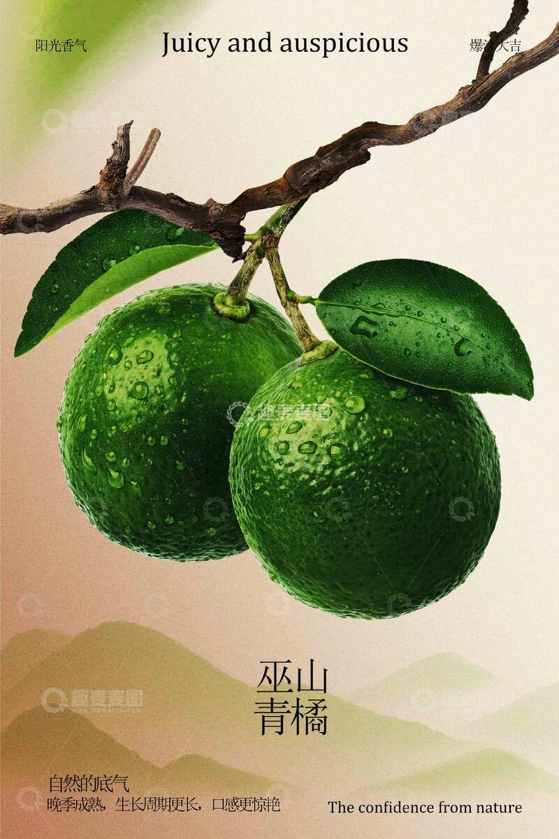 源文件下载【趣麦麦图】-青橘水果促销宣传活动海报
