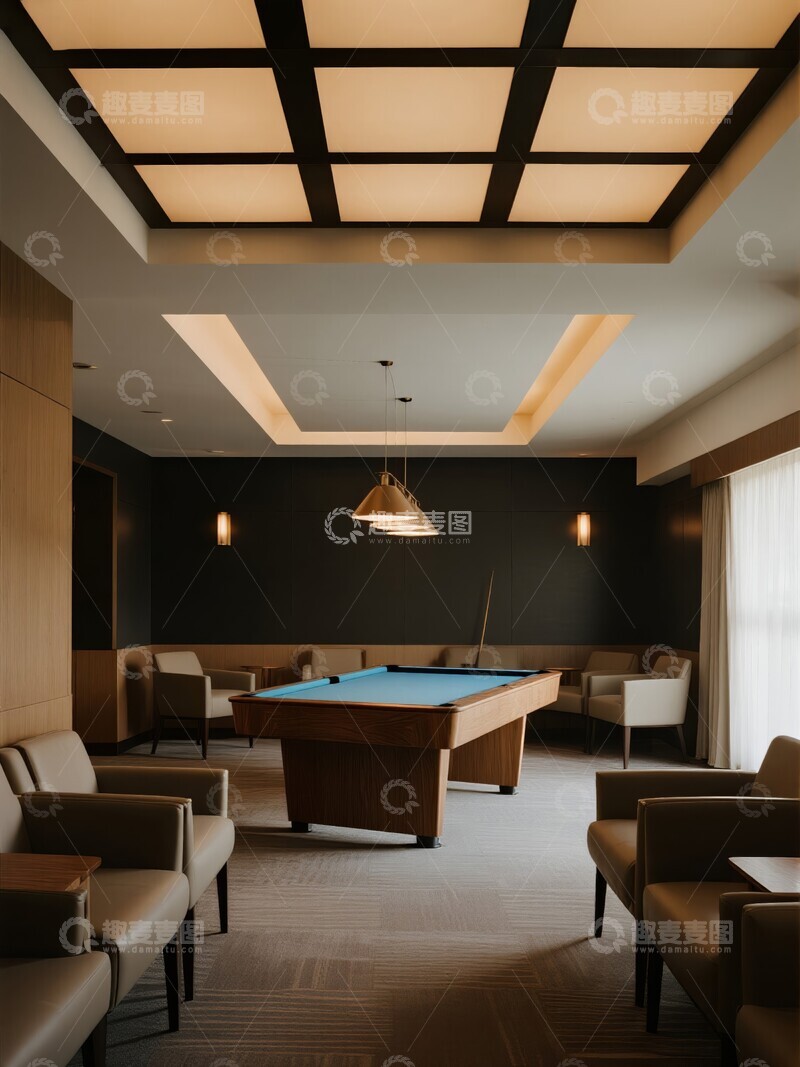 高清大图下载【趣麦麦图】现代室内台球室设计