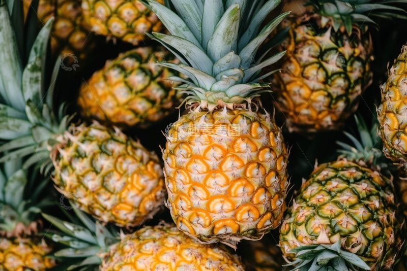 高清大图下载【趣麦麦图】一堆新鲜的菠萝水果