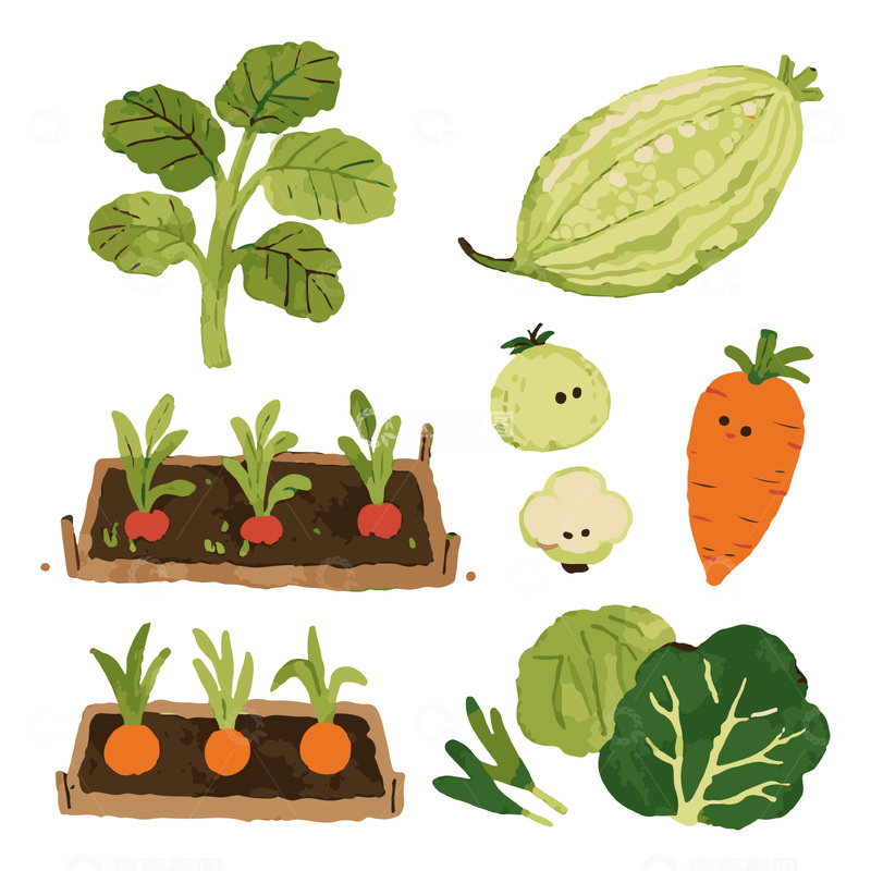 源文件下载【趣麦麦图】-水彩插画蔬菜3