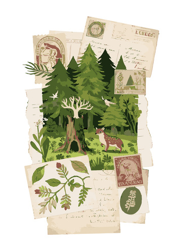 森林植物明信片